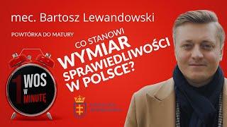 Jak funkcjonuje wymiar sprawiedliwości? #WOSwminutę