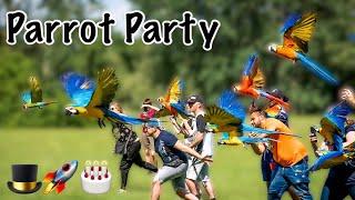 Iago & Rocket's MASSIVE Parrot Party & Free Flight Day! So Many Macaws!!!