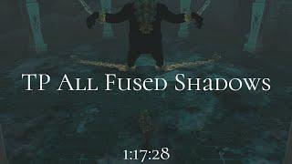 Twilight Princess All Fused Shadows in 1:17:28 (former world record)