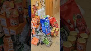 Приют "Омские хвостики" #мебель #алесямебель #мебельомск #интерьер #дизайнинтерьера #дом