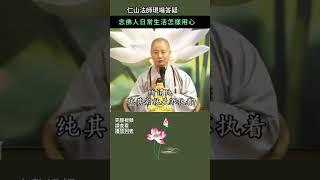 念佛人日常生活怎樣用心？~ 仁山法師現場答疑 #佛法 #修行 #人生