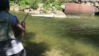 Вы таких еще не видели!!!Рыбалка в Канаде, лосось зашел!!Bowmanville salmon fishing!