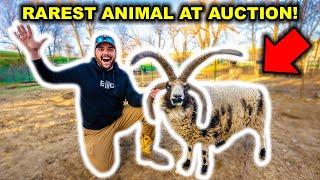 I Bought the RAREST Animal at the EXOTIC AUCTION!!! (Big Mistake?)