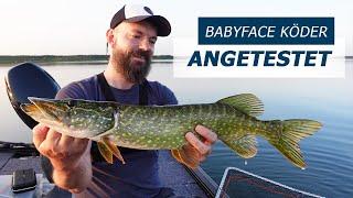 Neue Babyface Baits im Test - Hechtangeln mit Nippon Tackle