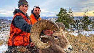 Sheep Hunting Giant Ram in Montana!