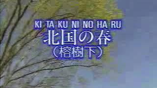 Japanese Old Songs with Roman Lyrics- KITA GUNI NO HARU 北国の春（榕樹下）