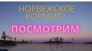 Russian Fishing 4 /Русская рыбалка 4 ▶ФАРМ НА МОРЕ #стрим #фарм