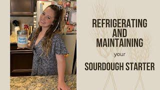 Refrigerating & Maintaining your Sourdough Starter |  Bread Baking for Beginners