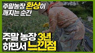 주말 농장 꿈을 갖고 계신 분들 이 영상 꼭 보세요! (주말농장, 주말농장 초보, 주말농장 텃밭)