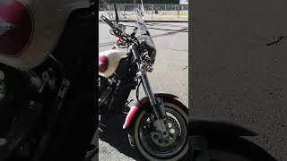 First Bike Walkaround | Beginner Rider | 1998 Suzuki Marauder VZ800 #bikelife #shorts