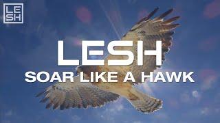 LESH - Soar Like A Hawk