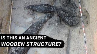 Were Our Ancient Human Ancestors Building Wooden Structures?