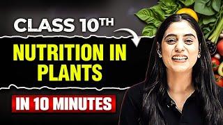 NUTRITION IN PLANTS in 10 Minutes | Class 10th