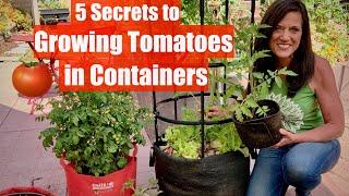 5 Secrets to Grow LOTS of Tomatoes in Containers / Container Garden Series #1