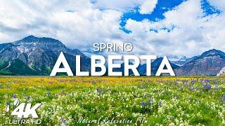 Alberta 4K UHD – Stunning Spring Footage, Scenic Relaxation Film With Piano Relaxing Music