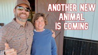 An Unexpected Connection Is Bringing a New Animal To The Farm!