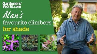 Five climbers for shade | Alan Titchmarsh