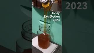 honey bottling | 2023 honey extraction!