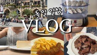 Eng)독일vlog | 독일에서 한식 해 먹기 (수제만두, 양념돼지갈비, 비빔국수, 김치찌개), 필립스 전기찜기, dm 쇼핑템, 주방템과 영양제 추천, 감성충만 뮌헨