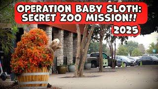 Bushman Prank: The Return of Baby Sloth 2025!!