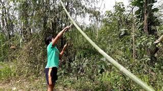 Using Bamboo to make Chaang for  Vegetable Garden.