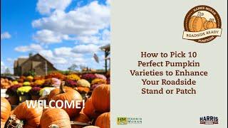 10 Perfect Pumpkin Varieties to Enhance Your Roadside Stand or Patch