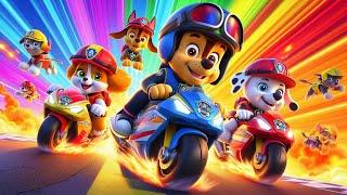 Paw Patrol Dog Rescue | Who Will Win The Rainbow Race?Very Funny Story | Rainbow 3