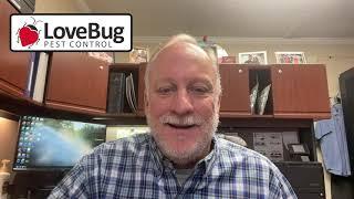 LoveBug Pest Control