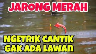 Umpan Mancing Paling Simpel Dan Gacooorrr