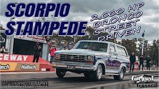 From Stock to Shock: The 9-Second '84 Bronco That Broke the Mold: Greased n Gassed