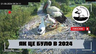 Лелека Грицько.  Визначні події 2024.