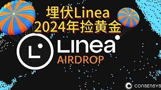 埋伏Linea,2024年捡黄金