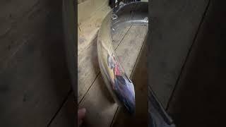 Suzuki T500 rear mudguard dent removed