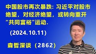 中国股市再次暴跌：习近平对股市绝望，对经济绝望，或转向重开“共同富裕”运动.（2024.10.11）