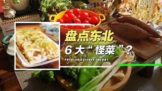 东北特色美食，个个色香味俱全，外地人却不敢尝试