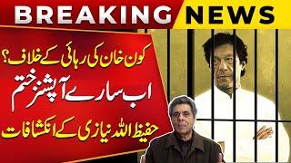 Who Is Against Imran Khan's Release? | Hafeezullah Niazi's Shocking Revelations | Public News