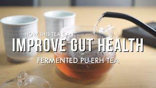 Drink Japanese Fermented Tea (Pu-erh Tea) For a Healthier Gut