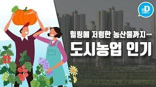 힐링에 저렴한 농산물까지…도시농업 인기 / 연합뉴스 (Yonhapnews)