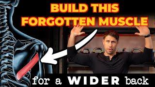 Build this forgotten muscle for a wider back || Elite Physique Training || Gareth Sapstead