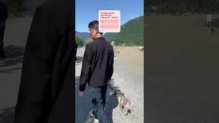 Hello Puppy Lovers, Harrison Hot Springs BC Canada #puppy #cute #mypug #puppygram #puppers #pug