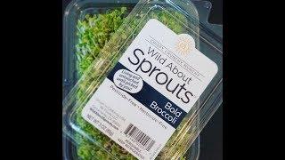 W.A.S. variety of endless ways to incorporate Sprouts