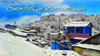 Heavy Snowfall in Basantapur,  Tehrathum | 2078.10.22 |  लालीगुराँस नगरपालिका | Vlog-9