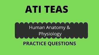 New ATI TEAS.  Human Anatomy and Physiology.