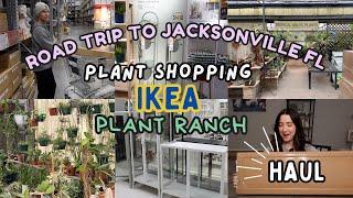 Plant Shopping at IKEA and the Plant Ranch Plus a Huge Haul! | Jacksonville FL Birthday Vlog 🪴