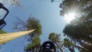 First Frame: Adventure riding in Sequoia National Park