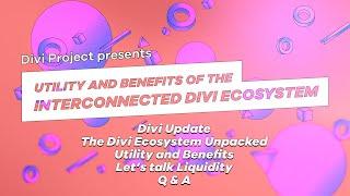 Utility and Benefits of the interconnected Divi Ecosystem