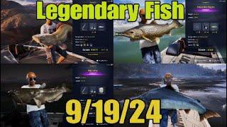 This Weeks Legendary Fish Simple Guide 9/19/24 - COTW The Angler