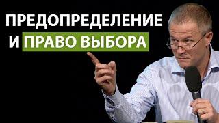 Александр Шевченко. Предопределение и право выбора.