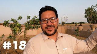 Sindh Solo Bike Tour To Cholistan Desert | Derawar Fort | Story 18 |  YK VLOG