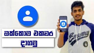 Easily Transfer All Contacts To Another Phone | Sinhala